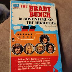 2 Vintage Books The Brady Bunch And TV Talk