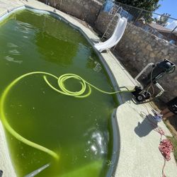 Swimming Pool Vacuum ! 