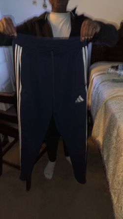 addia pants
