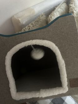 Cat House 