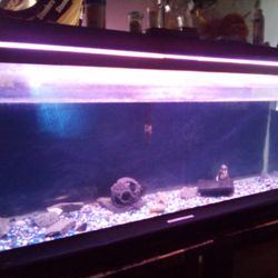 55 Gallon Fish Tank Filter And Accessories A