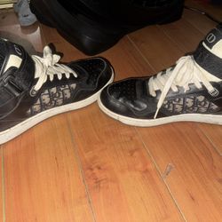 Dior B27 Hightop (exclusive)