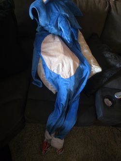 Sonic Costume 