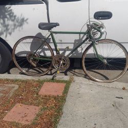 70s Vintage varsityvspeed bike 250