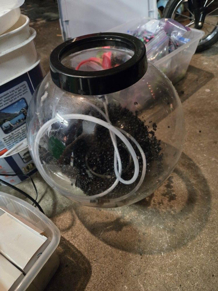 Bio orb Aquarium