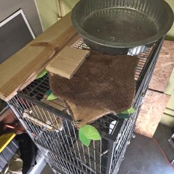 Chinchilla Cage, Critter Cage