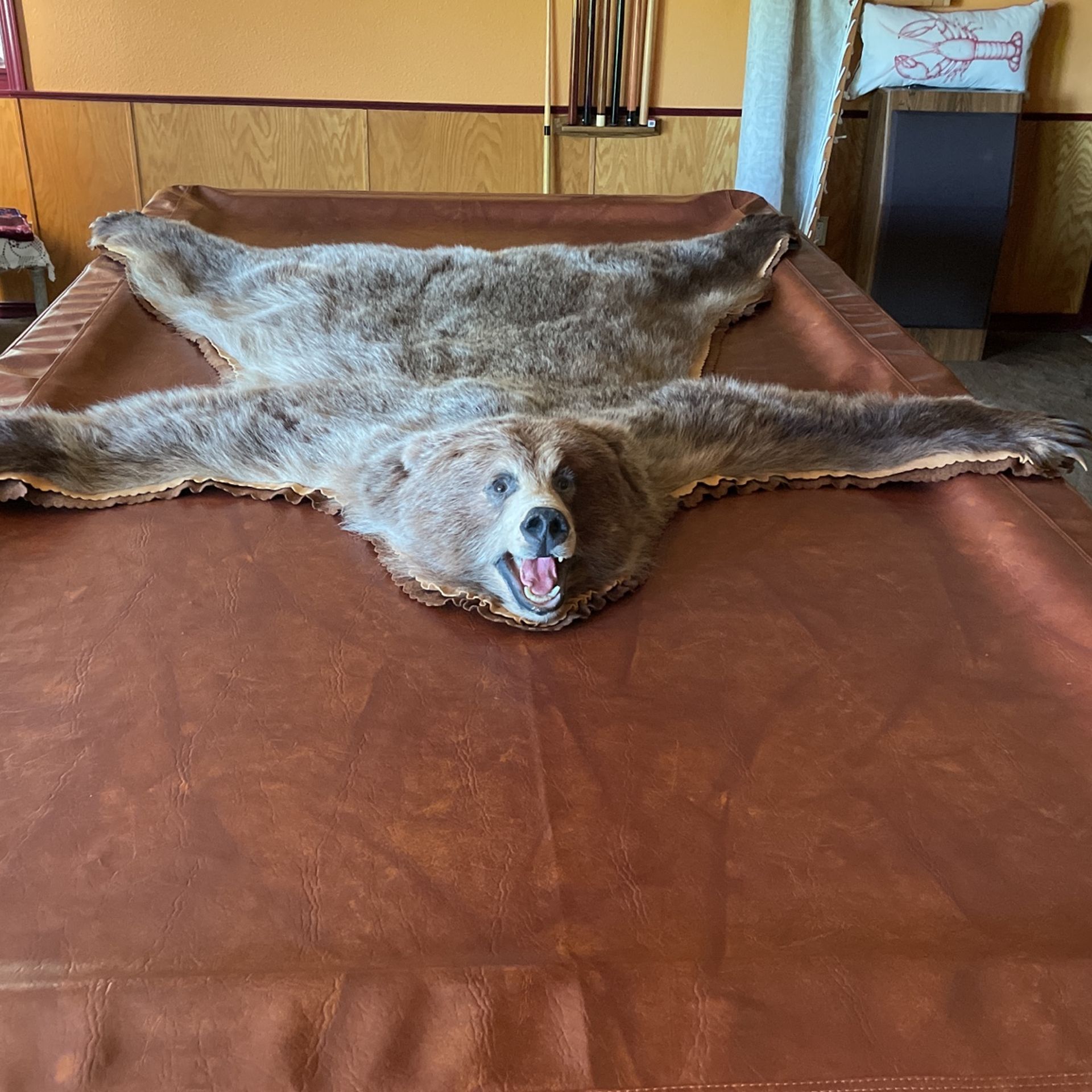 Alaska Grizzly, Bear Rug, Or Wall Hanging