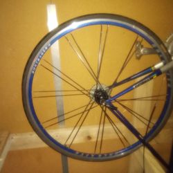 Bontrager Racelite Wheel Set.