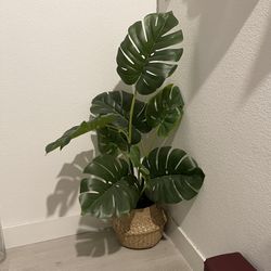 Artificial Plant With Pattern Planter 