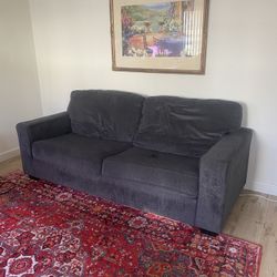 Blue Couch