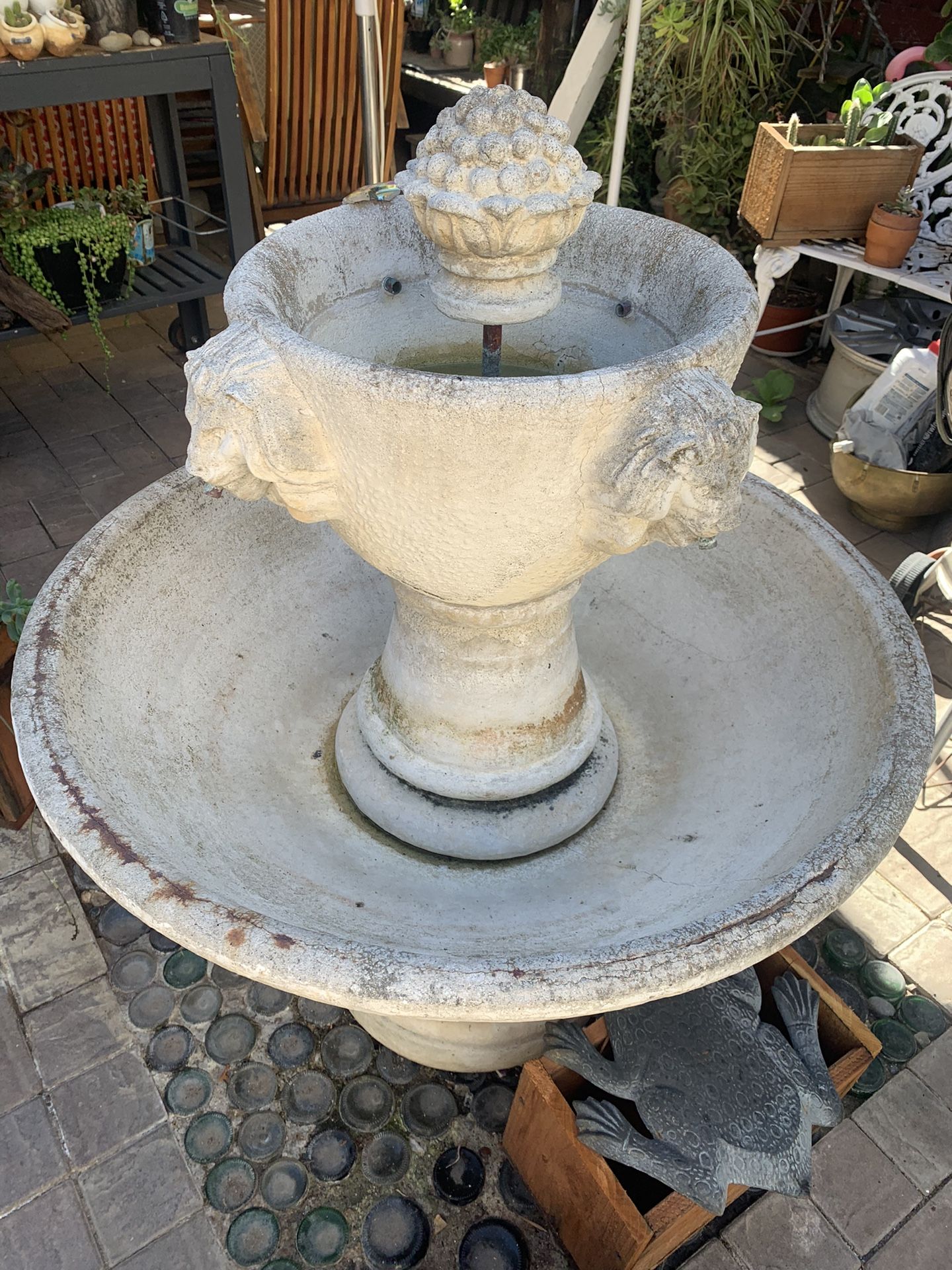 Big Fountain Water Included Pomp..