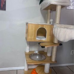 Cat Tree 