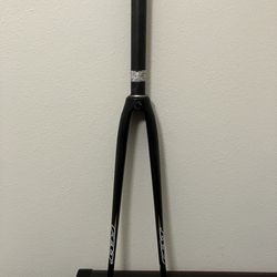 CRACKED carbon fiber bike fork