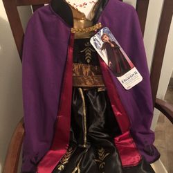 Ana frozen 2 costumes