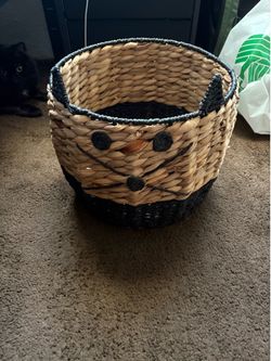 Cat Basket
