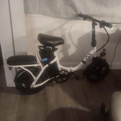 Ebike (READ DETAILS)
