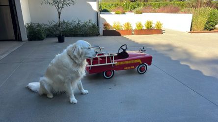 Vintage AMF Fire Fighter Unit 508 Pedal Car