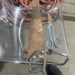 Metal Shears And Wood Saw