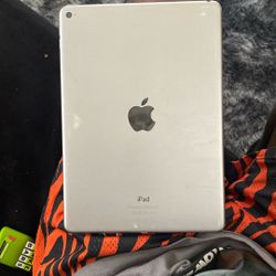 iPad Air 2