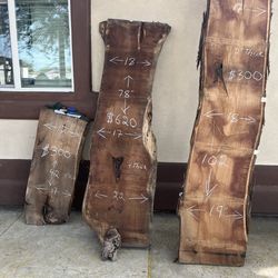 Mesquite