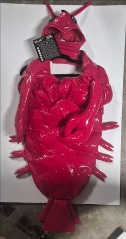 Thrills & Chills Lobster Halloween Costume