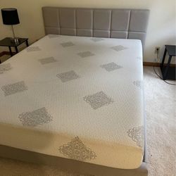 Free queen bedframe and mattress 