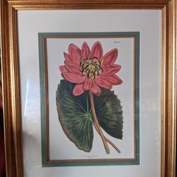 21st Street Art Gallery Floral Wall Art 