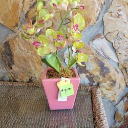 Silk Orchid In A Ceramic Pot