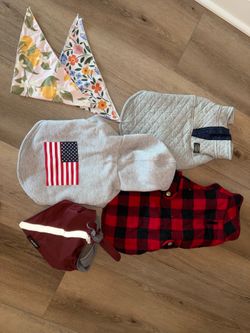 Lot of Small Dog Sweaters and Bandanas