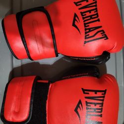 Everlast Powerlock 2 Boxing Gloves
