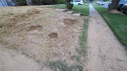 Fill Dirt. Free