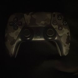 Camo Ps5 Controller NEED GONE