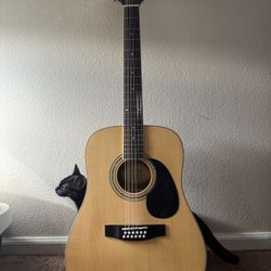 12 String Electric/Acoustic Guitar