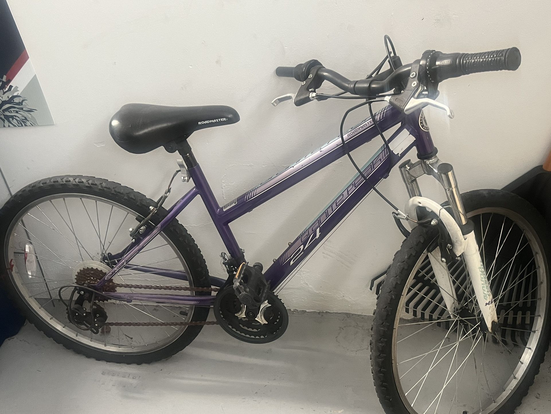 Purple girls bike