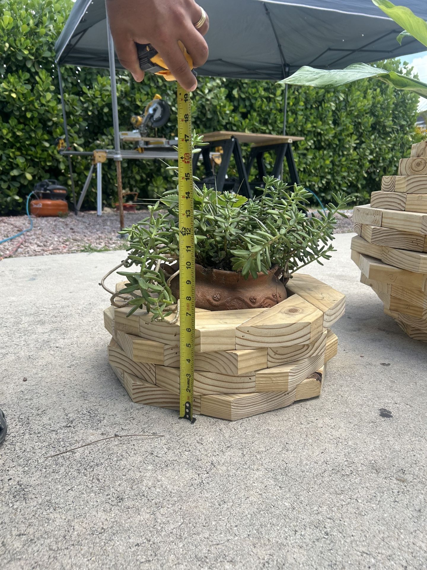 Wood Planter Perfect For Succulents!