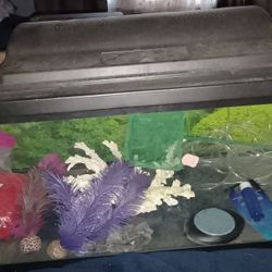 20 Gallon Tank with All Components 