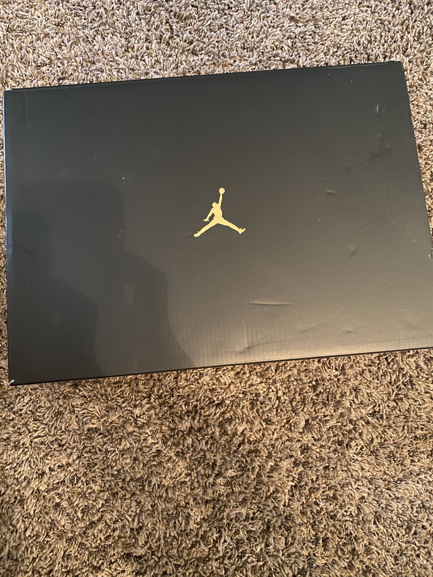 Brand New Air Jordan Retro 11 Gratitude Size 12
