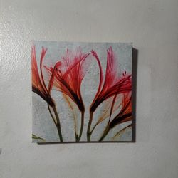 Canvas Print of Flowers