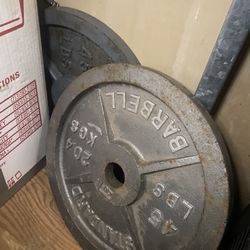 45lbs barbell weight plate