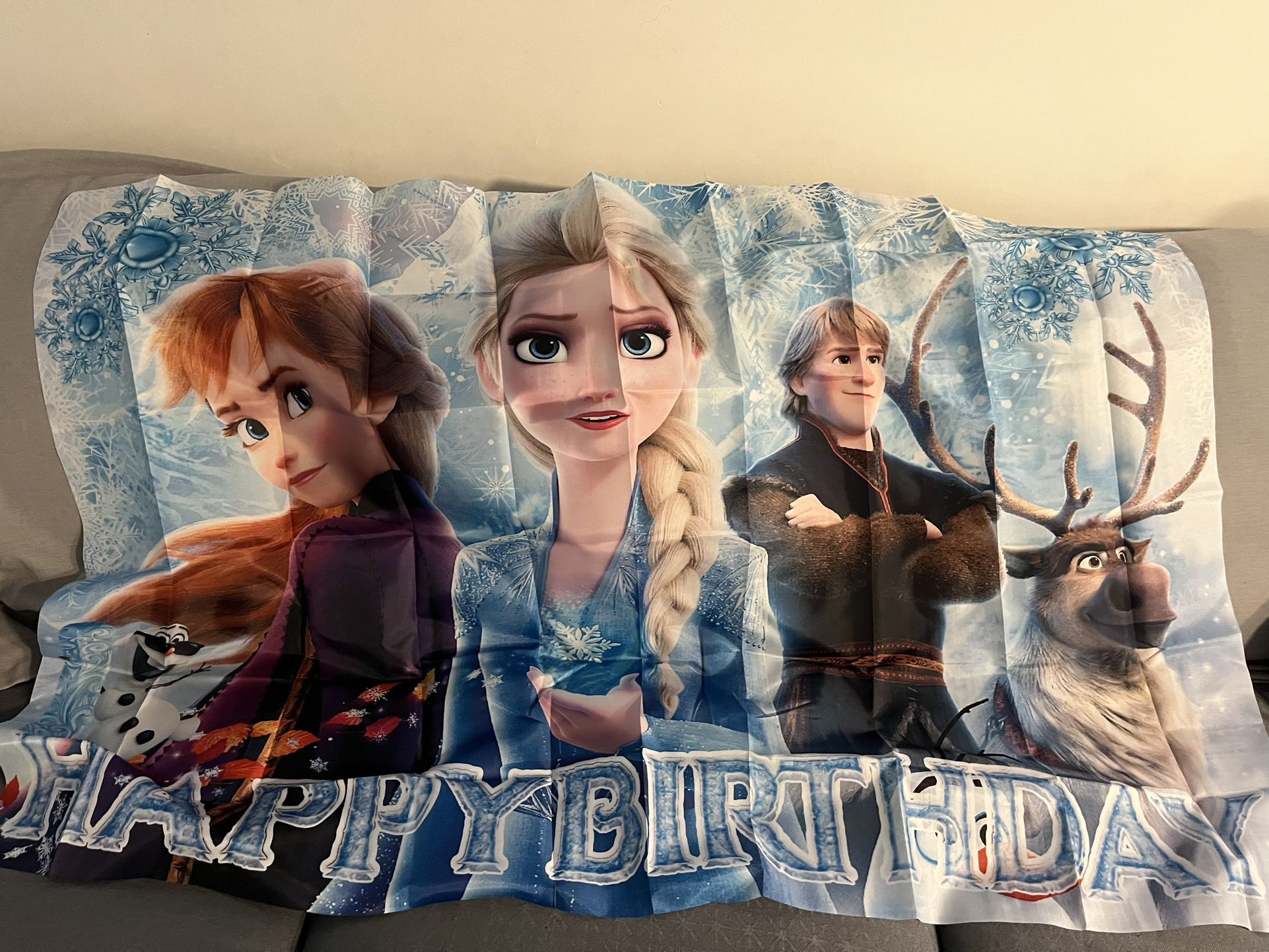 Frozen Elsa Birthday Party Back Drop
