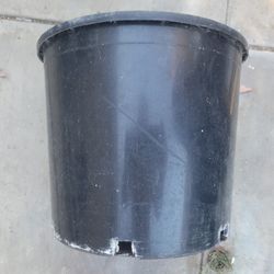 5 Gallon Pot
