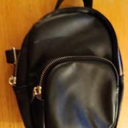 Ladies Wild Fable Mini Backpack With Zipper Compartments Inside & Out 