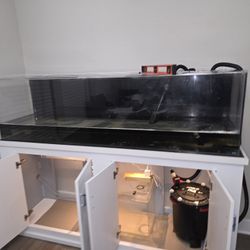 125 Gallon Fish Tank