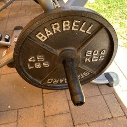 One 45Lbs Olympic Weight Plate