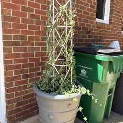 2 Large Light Weight Cement Bases