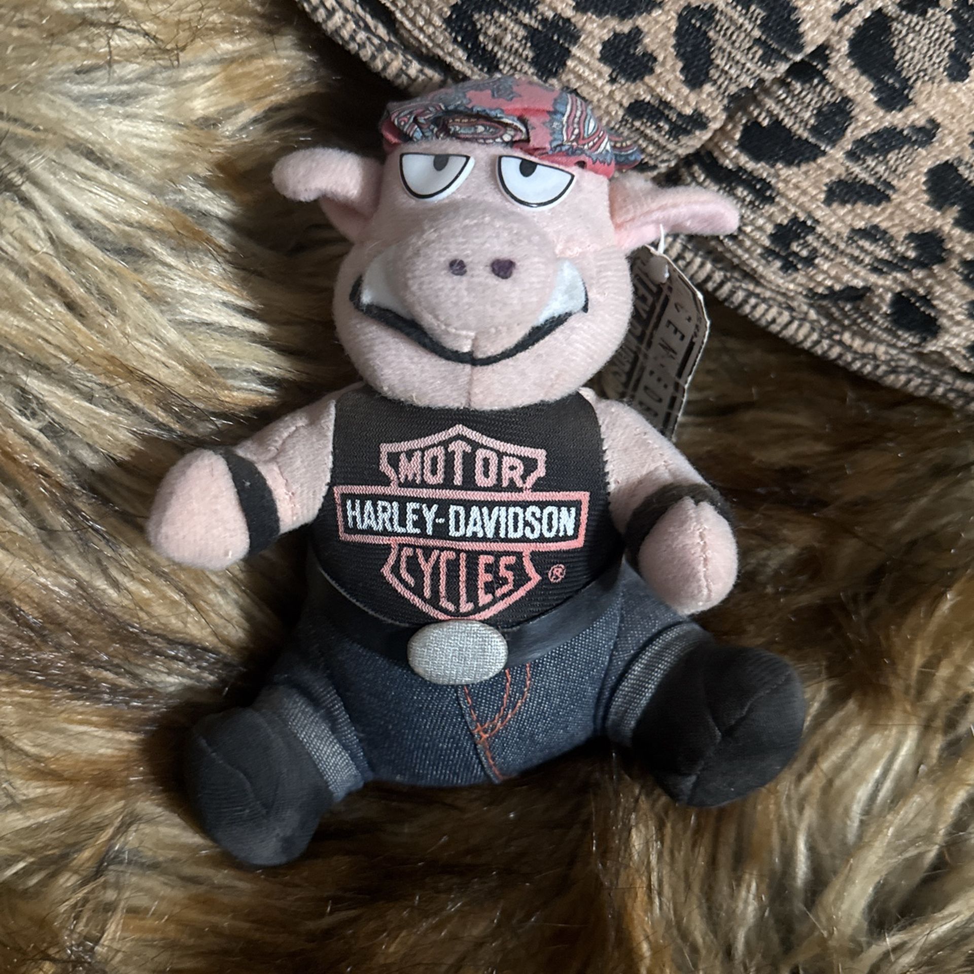 Harley Piggy