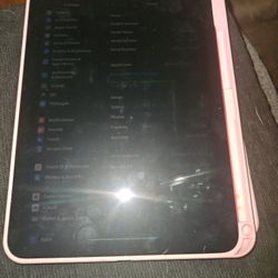 IPad Newest Model Pink Everything