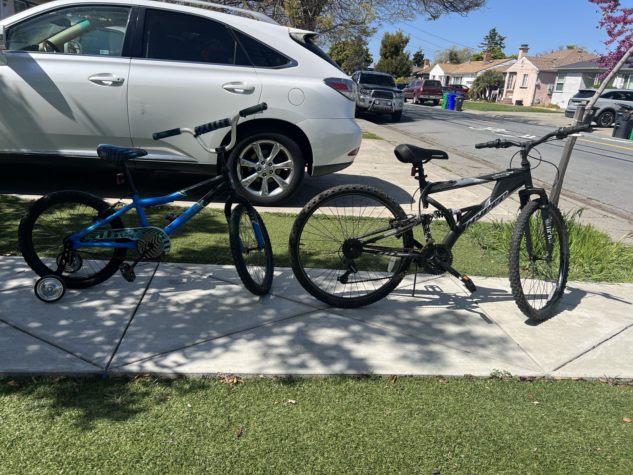 Bikes For Sale $250 Raleigh No Training Wheels Included