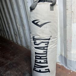 Everlast Punching Bag