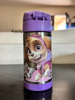 Kid’s Thermos Insulated Bottle Skye And Everest Paw Patrol
